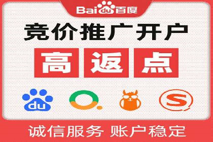 SEM代运营服务公司成功案例解析